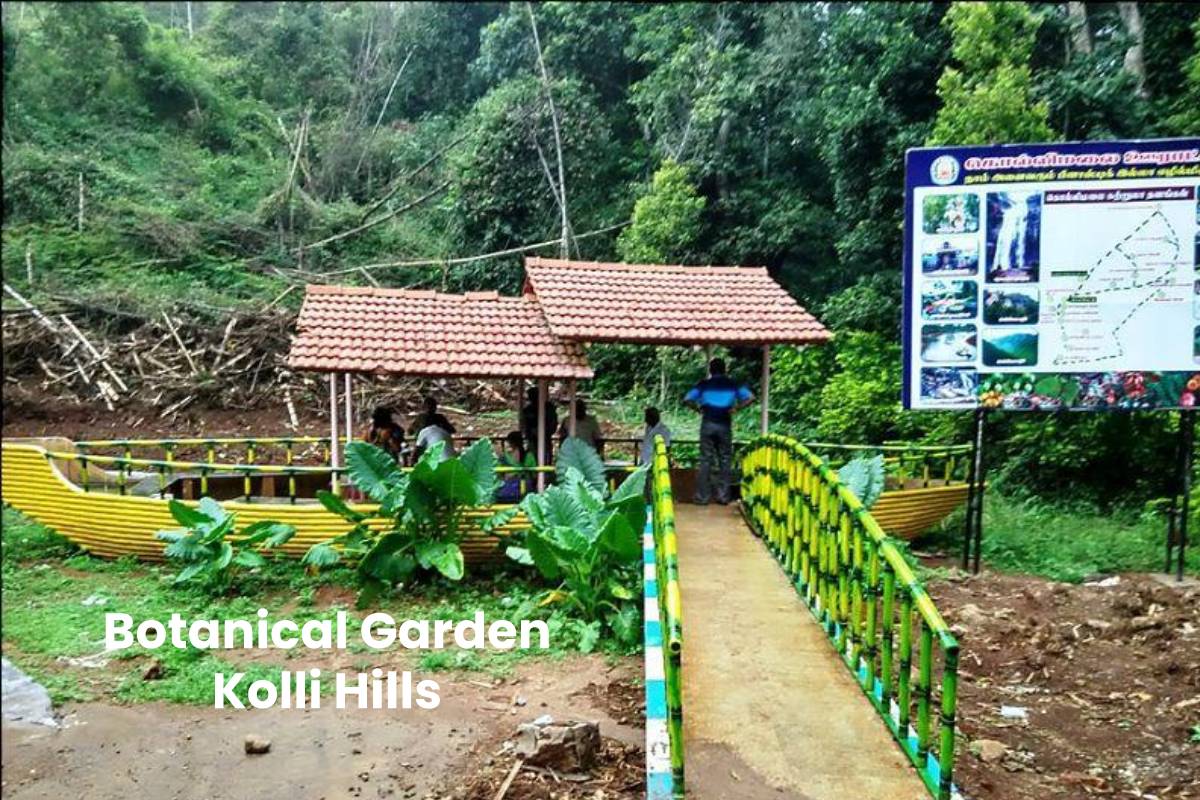 Botanical Garden Kolli Hills