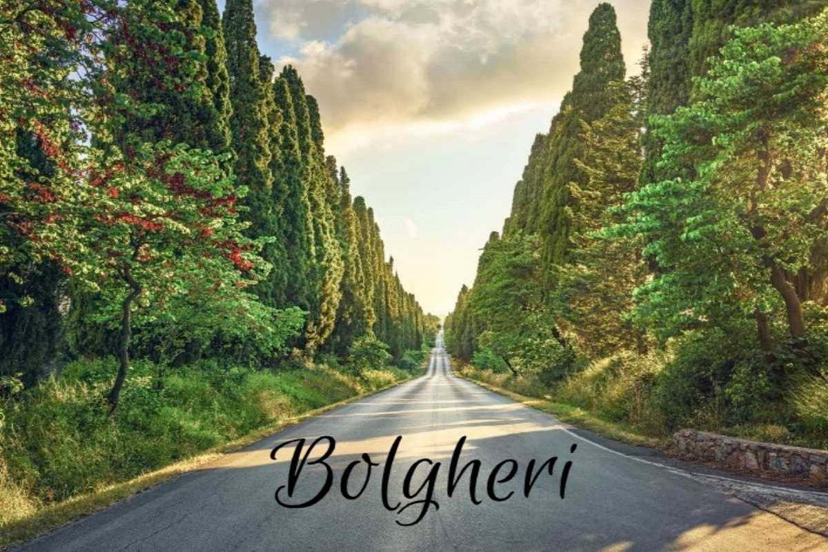Bolgheri
