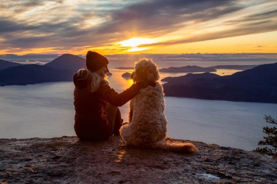 Best Destinations To Travel With Your Dog In Canada
