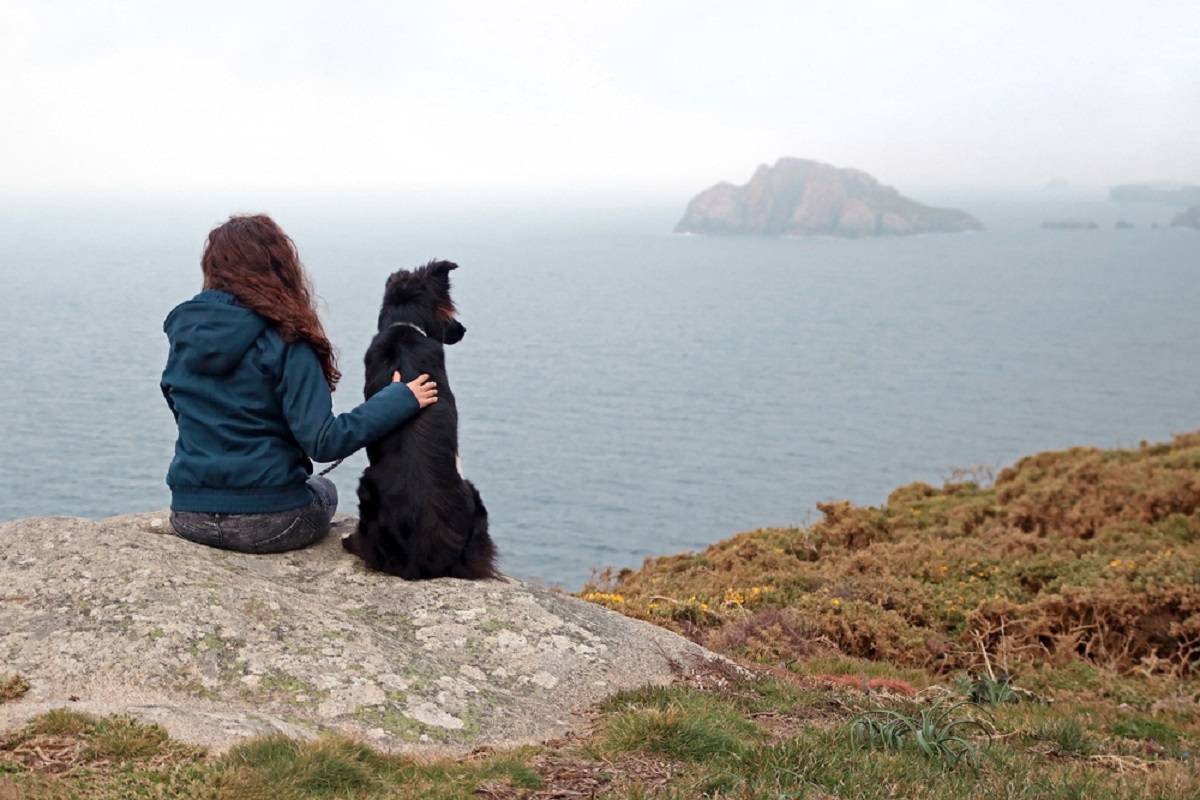 traveling-with-dogs-in-canada-Newfoundland and Labrador