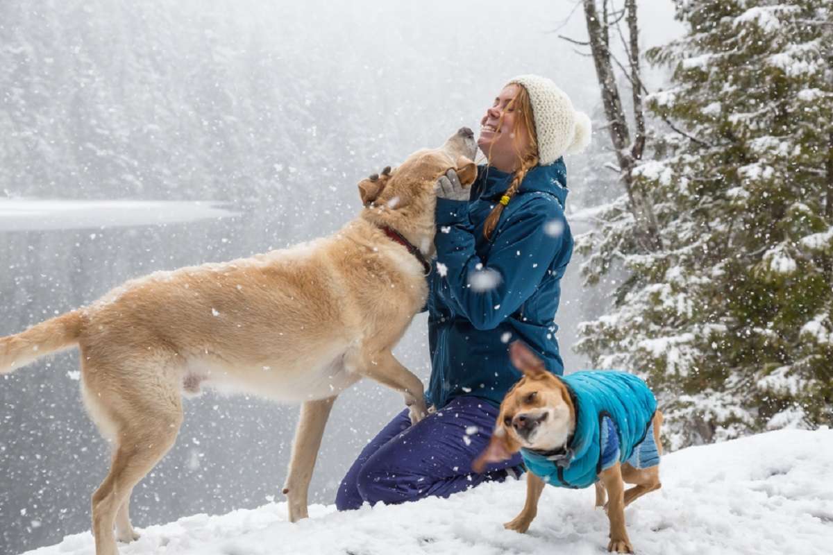 traveling-with-dogs-in-canada-Whistler
