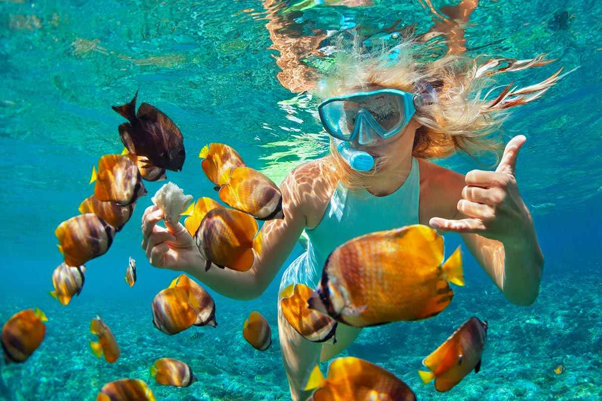 A pristine image of snorkelling in Cairns, with vivid marine life